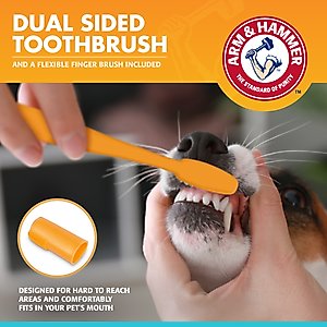 Arm & Hammer Products Fresh Breath Vanilla-Ginger Flavored Dog Dental Kit, 2.5-oz tube