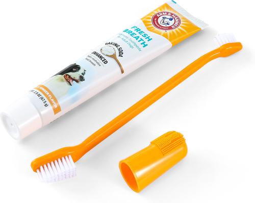 Show full view: Arm & Hammer Products Fresh Breath Vanilla-Ginger Flavored Dog Dental Kit, 2.5-oz tube slide 4 of 11