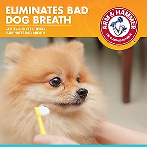 Arm & Hammer Products Fresh Breath Vanilla-Ginger Flavored Enzymatic Dog Toothpaste, 2.5-oz tube