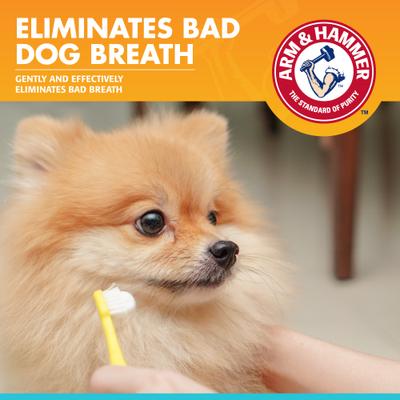 Show full view: Arm & Hammer Products Fresh Breath Vanilla-Ginger Flavored Enzymatic Dog Toothpaste, 2.5-oz tube slide 7 of 12
