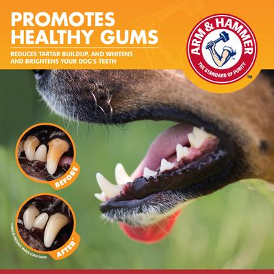 Show full view: Arm & Hammer Products Clinical Gum Health Chicken Flavored Enzymatic Dog Toothpaste, 2.5-oz tube slide 6 of 10
