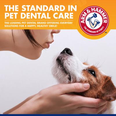 Show full view: Arm & Hammer Products Products Tartar Control Beef Flavored Enzymatic Dog Dental Kit slide 10 of 11