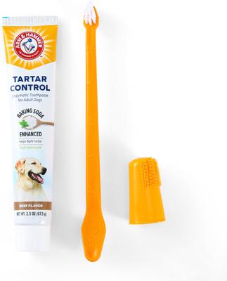 Show full view: Arm & Hammer Products Products Tartar Control Beef Flavored Enzymatic Dog Dental Kit slide 5 of 11