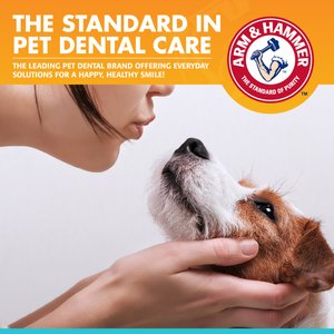 Arm & Hammer Products Products Fresh Breath Chicken Flavored Enzymatic Dog Toothpaste, 2.5-oz tube