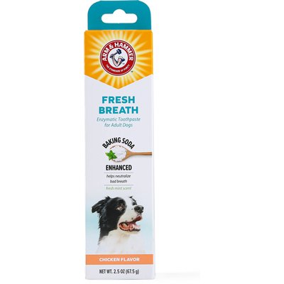 Arm & Hammer Products Arm & Hammer Fresh Breath & Whitening Toothpaste for Dogs, 2.5-oz tube