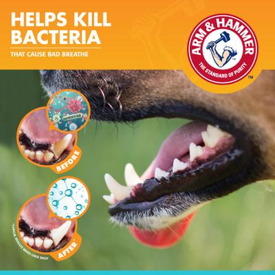 Show full view: Arm & Hammer Products Fresh Breath Vanilla-Ginger Flavored Dog Dental Kit, 2.5-oz tube slide 9 of 11