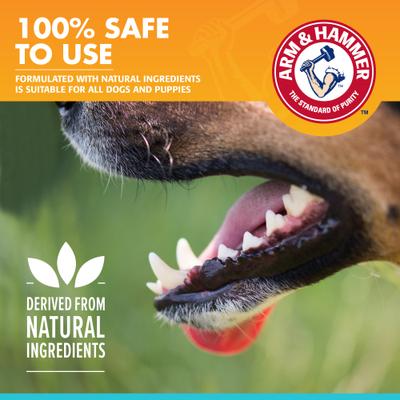 Show full view: Arm & Hammer Products Fresh Breath Vanilla-Ginger Flavored Enzymatic Dog Toothpaste, 2.5-oz tube slide 9 of 12