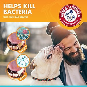 Arm & Hammer Products Fresh Breath Vanilla-Ginger Flavored Enzymatic Dog Toothpaste, 2.5-oz tube