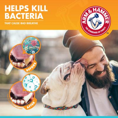 Show full view: Arm & Hammer Products Fresh Breath Vanilla-Ginger Flavored Enzymatic Dog Toothpaste, 2.5-oz tube slide 8 of 12