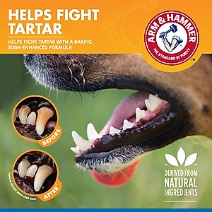 Arm & Hammer Products Tartar Control Unflavored Dog Dental Water Additive, 16-fl oz bottle