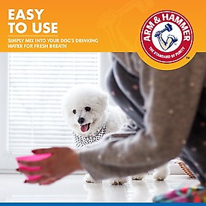 Arm & Hammer Products Tartar Control Unflavored Dog Dental Water Additive, 16-fl oz bottle