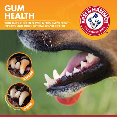 Show full view: Arm & Hammer Products Clinical Gum Health Chicken Flavored Dog Dental Kit slide 7 of 10