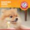 Show in main carousel: Arm & Hammer Products Clinical Gum Health Chicken Flavored Enzymatic Dog Toothpaste, 2.5-oz tube slide 7 of 10