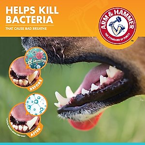Arm & Hammer Products Products Fresh Breath Chicken Flavored Enzymatic Dog Dental Kit