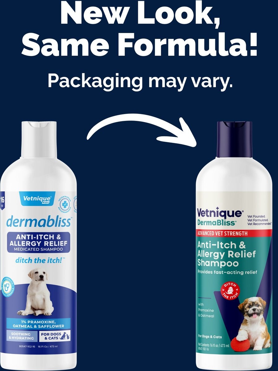Vetnique Labs Dermabliss Advanced Vet Strength Allergy & Itch Relief Anti-Itch Cat & Dog Shampoo, 16-fl oz bottle