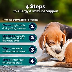Vetnique Labs Dermabliss Advanced Vet Strength Hickory Salmon Flavor Soft Chews Allergy Health Supplement for Dogs, 60 count slide 2 of 9