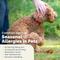 Show in main carousel: Vetnique Labs Dermabliss Advanced Vet Strength Allergy & Itch Relief Anti-Itch Cat & Dog Shampoo, 16-fl oz bottle slide 6 of 11