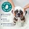 Show in main carousel: Vetnique Labs Dermabliss Advanced Vet Strength Allergy & Itch Relief Anti-Itch Cat & Dog Shampoo, 16-fl oz bottle slide 4 of 11