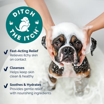 Show full view: Vetnique Labs Dermabliss Advanced Vet Strength Allergy & Itch Relief Anti-Itch Cat & Dog Shampoo, 16-fl oz bottle slide 4 of 11