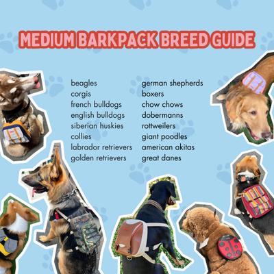 Show full view: Ruffsack Dale Handmade Dog Backpack with Harness, Light Blue, Medium slide 5 of 6
