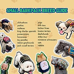 Ruffsack Dale Handmade Dog Backpack with Harness, Black, Small slide 2 of 6