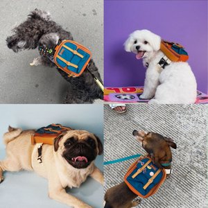 Ruffsack Dale Handmade Dog Backpack with Harness, Rust, Small