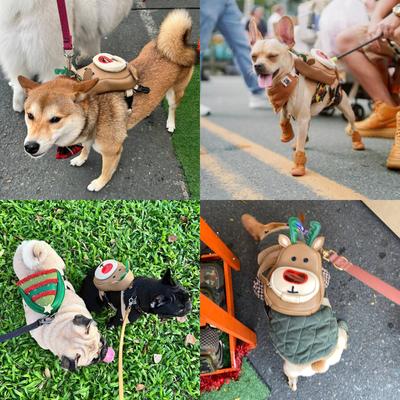 Show full view: Ruffsack Rudolph Handmade Dog Backpack with Harness, Brown, Small slide 3 of 6