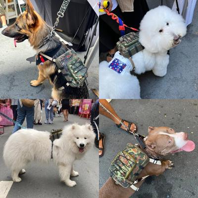 Show full view: Ruffsack Scout Handmade Dog Backpack with Harness, Green, Medium slide 3 of 6