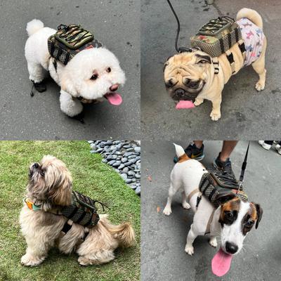 Show full view: Ruffsack Scout Handmade Dog Backpack with Harness, Green, Small slide 3 of 6