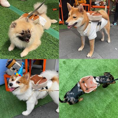 Show full view: Ruffsack Reed Handmade Dog Backpack with Harness, Brown, Small slide 3 of 6