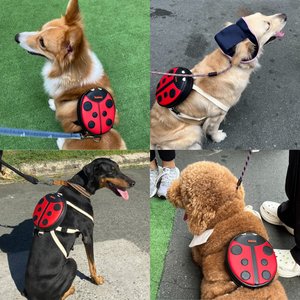 Ruffsack Lucy Handmade Dog Backpack with Harness, Red, Medium