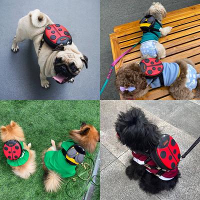 Show full view: Ruffsack Lucy Handmade Dog Backpack with Harness, Red, Small slide 3 of 6