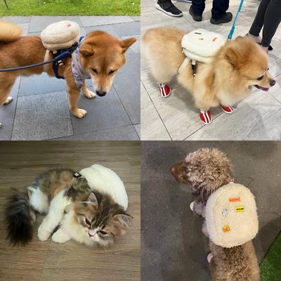 Show full view: Ruffsack Finny Fur Handmade Dog Backpack with Harness, Off White, Small slide 3 of 6