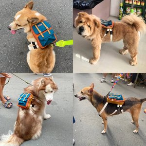 Ruffsack Dale Handmade Dog Backpack with Harness, Rust, Medium