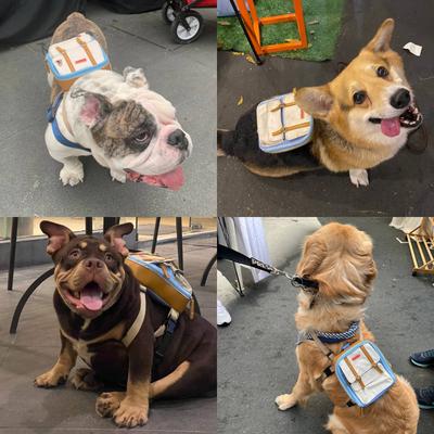 Show full view: Ruffsack Dale Handmade Dog Backpack with Harness, Light Blue, Medium slide 3 of 6