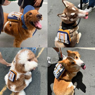 Show full view: Ruffsack Dale Handmade Dog Backpack with Harness, Navy, Medium slide 3 of 6