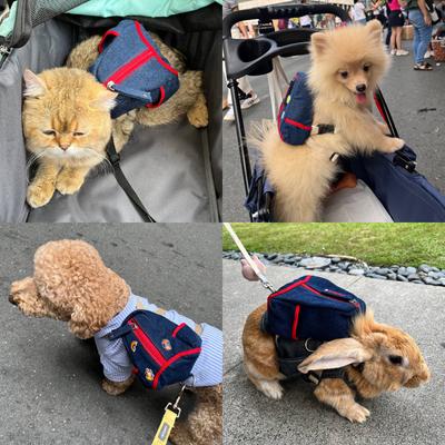 Show full view: Ruffsack Lee Handmade Dog Backpack with Harness, Blue, Small slide 3 of 6