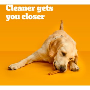 Pedigree Dentastix Large Original Chicken Flavor Dental Dog Treats, 40 count