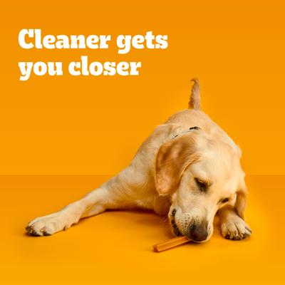 Show full view: Pedigree Dentastix Large Original Chicken Flavor Dental Dog Treats, 32 count slide 10 of 12