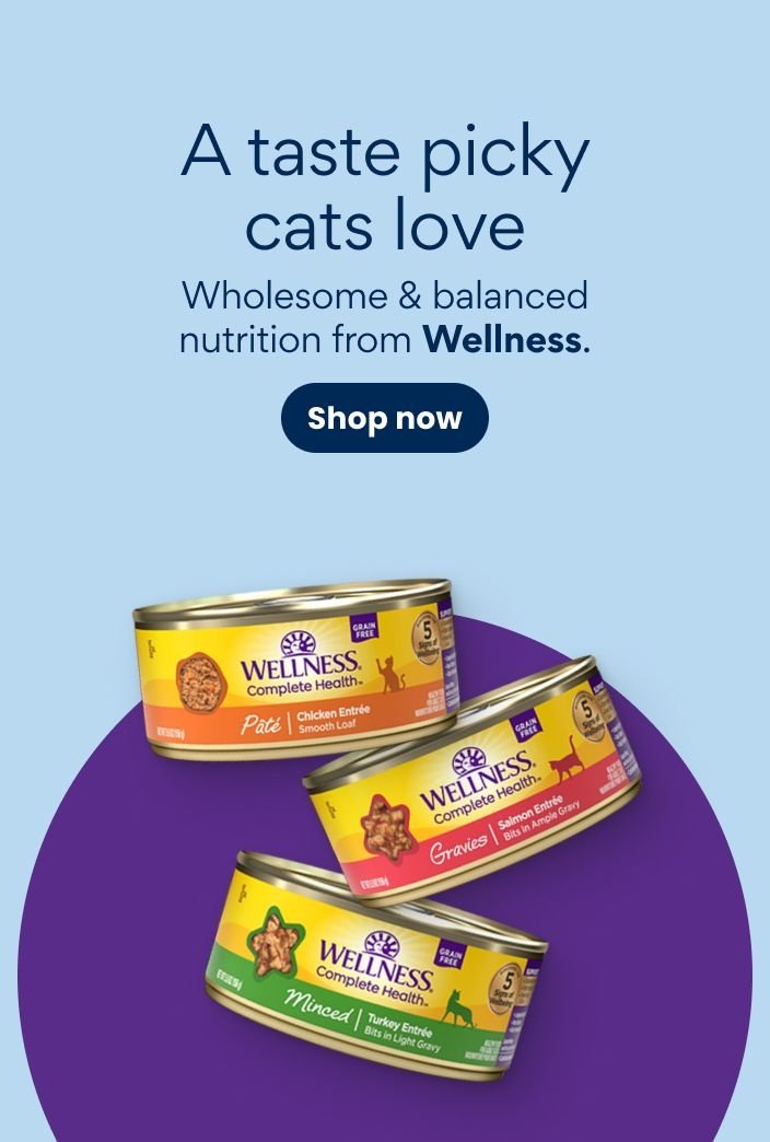 A taste picky cats love Wholesome & balanced nutrition from Wellness. Shop now.