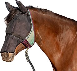 Kensington Protective Products UViator CatchMask with Ears & Nose Horse Fly Mask, Medium, Imperial Jade