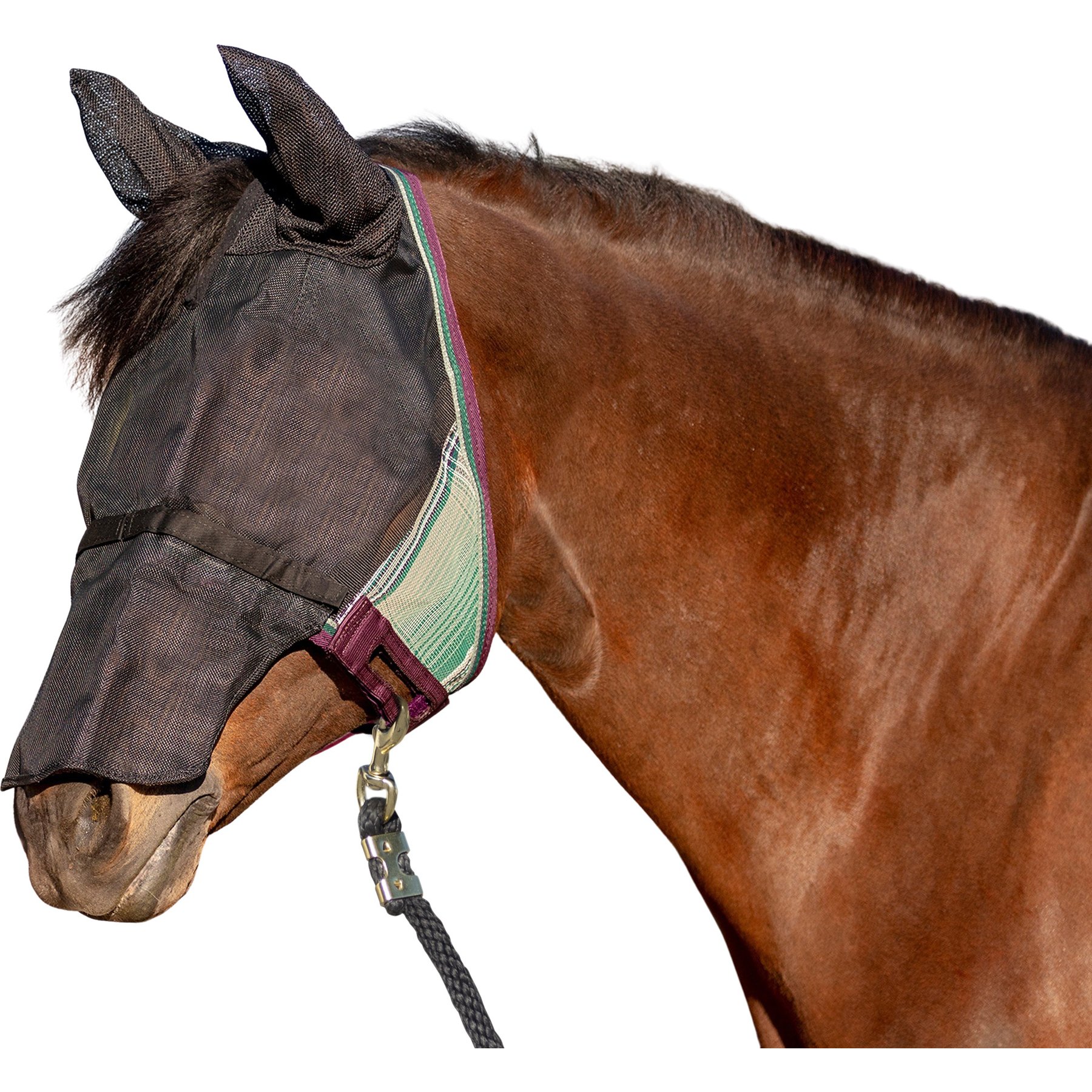 Kensington Protective Products UViator CatchMask with Ears & Nose Horse Fly Mask, Warmblood, Imperial Jade