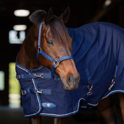 Show full view: Kensington Protective Products Poly Cotton Stable Sheet Horse Sheet, Navy, 78-in slide 4 of 6