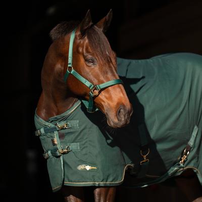 Show full view: Kensington Protective Products Poly Cotton Stable Sheet Horse Sheet, Hunter, 75-in slide 4 of 6