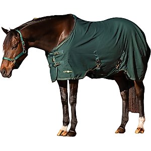 Saxon Defiant 1200D Combo Neck Medium Horse Turnout