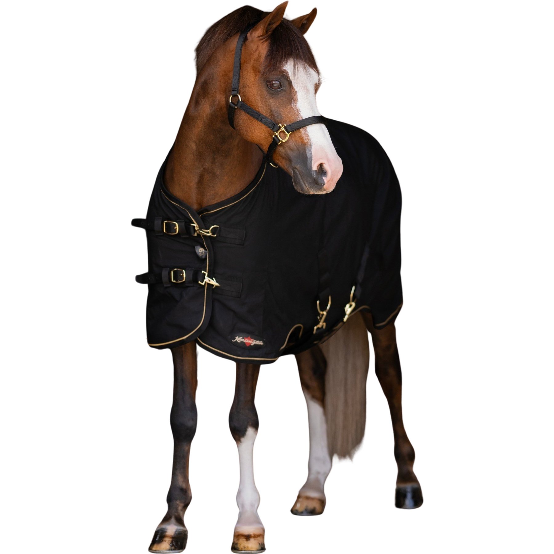Kensington Protective Products Poly Cotton Horse Stable Sheet, 60-in, Black