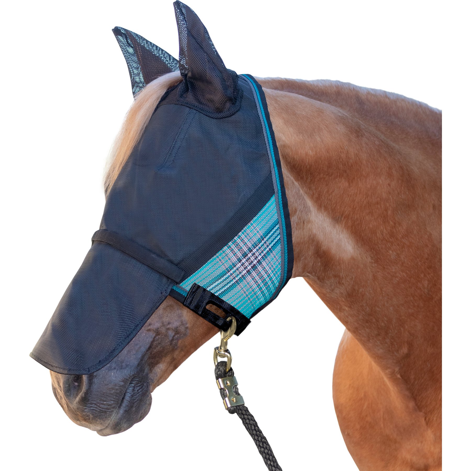Kensington Protective Products UViator CatchMask with Ears & Nose Horse Fly Mask, Cob/Arab, Atlantis