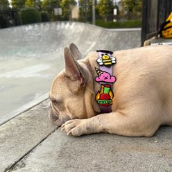 Jiby Dog Crew Spicy AF Jiby Dog Collar Accessory slide 2 of 6