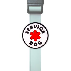Jiby Dog Crew Service Jiby Dog Collar Accessory
