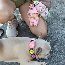 Jiby Dog Crew Tennis Ball Jiby Dog Collar Accessory slide 2 of 5